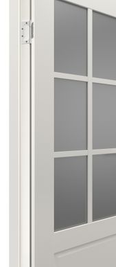 Купити Двері TERMINUS NEO-CLASSICO 602