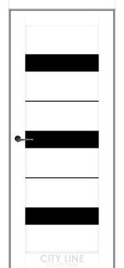 Двери City Line ARION BLK