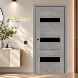 Двери City Line ARION BLK