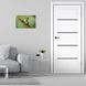 Двері MS Doors MONTANA BLK (МІРА) MONTANA BLK фото 1