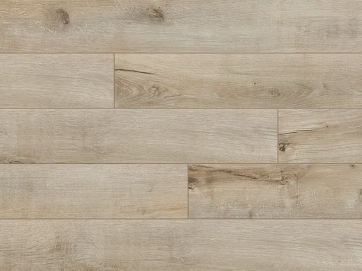 Купити Ламінат Classen Pool 4V WR 52355 Дуб Кремовий натуральний
Ламінат Classen Pool 4V WR 52355 Дуб Кремовий натуральний 52355 фото
