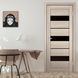 Двері EUROPE DOORS Данія POLITEX скло BLK ED. Данія POLITEX.BLK фото 6