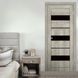 Двері EUROPE DOORS Данія POLITEX скло BLK ED. Данія POLITEX.BLK фото 3