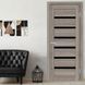 Двери EUROPE DOORS Франция POLITEX стекло BLK ED. Франція POLITEX.BLK фото 6