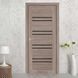 Двери StilDoors FERRO BLK FERRO.BLK фото 1