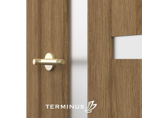 Купить Двери TERMINUS NanoFlex 108 ПО
Двери TERMINUS NanoFlex 108 ПО NanoFlex 108 ПО фото