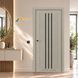 Двері City Line Express Rocky BLK Rocky.BLK фото 1