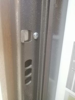 Купити Двері вхідні Страж Proof Standard Securemme Slim DV