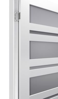 Купити Двері TERMINUS NanoFlex 107 ПО білі