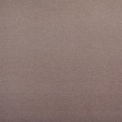 Купити Рулонні штори, тканина Блекаут Termo Арджент 301