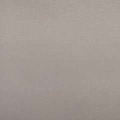 Купити Рулонні штори, тканина Блекаут Termo Арджент 053
