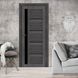 Двери MS Doors ALABAMA HOLST BLK (ГРЕТА) ALABAMA HOLST BLK фото 8
