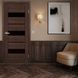 Двери EUROPE DOORS Дания PVC стекло BLK ED. Данія PVC.BLK фото 3