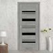 Двери StilDoors FIORENTA BLK FIORENTA.BLK фото 1