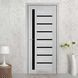 Двері StilDoors TERNO BLK TERNO.BLK фото 1