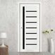 Двері StilDoors TERNO BLK TERNO.BLK фото 3