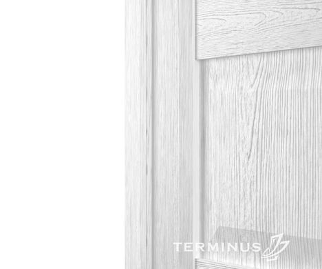 Купити Двері TERMINUS SYNCHRO 602