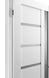 Двері TERMINUS NanoFlex 108 ПО білі