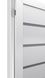 Двері TERMINUS NanoFlex 307 ПГ білі