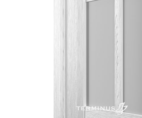 Купити Двері TERMINUS SYNCHRO 603