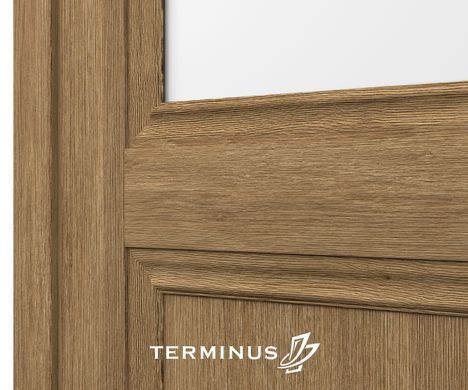 Купить Двери TERMINUS NanoFlex 403 ПО
Двери TERMINUS NanoFlex 403 ПО NanoFlex 403 ПО фото