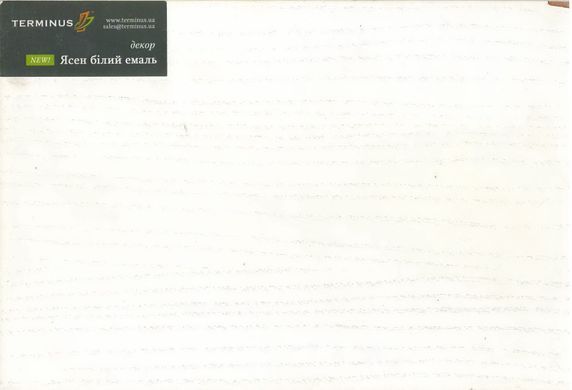 Купити Двері TERMINUS Modern 137 ПО ясень білий
Двері TERMINUS Modern 137 ПО ясень білий Modern 137 ПО.ясень фото