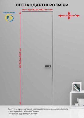 Купити Двері прихованого монтажу EUROPEDOORS PREMIUM кромка чорна, зовнішнього відкривання
Двері прихованого монтажу EUROPEDOORS PREMIUM кромка чорна, зовнішнього відкривання ED PREMIUM.чорна кромка.зовнішні фото