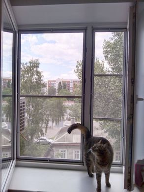 Купить Москитная сетка на окно "антикошка"
Москитная сетка на окно "антикошка" М/С-антикішка фото