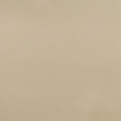 Купити Рулонні штори, тканина Блекаут Termo Арджент 058