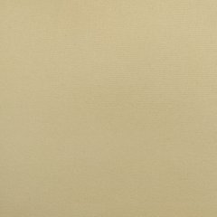 Купити Рулонні штори, тканина Блекаут Termo Арджент 059