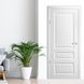 Двері LUXDOORS ЛУВР-2 VINIL білий глухе LD. ЛУВР-2 VINIL.глухе фото 1