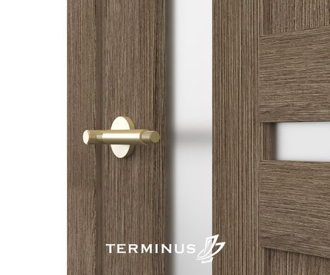 Купити Двері TERMINUS NanoFlex 106 ПО
Двері TERMINUS NanoFlex 106 ПО NanoFlex 106 ПО фото